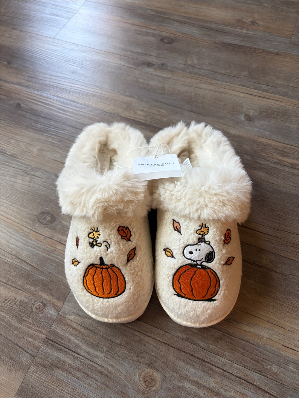 American Eagle Autumn Snoopy Slippers